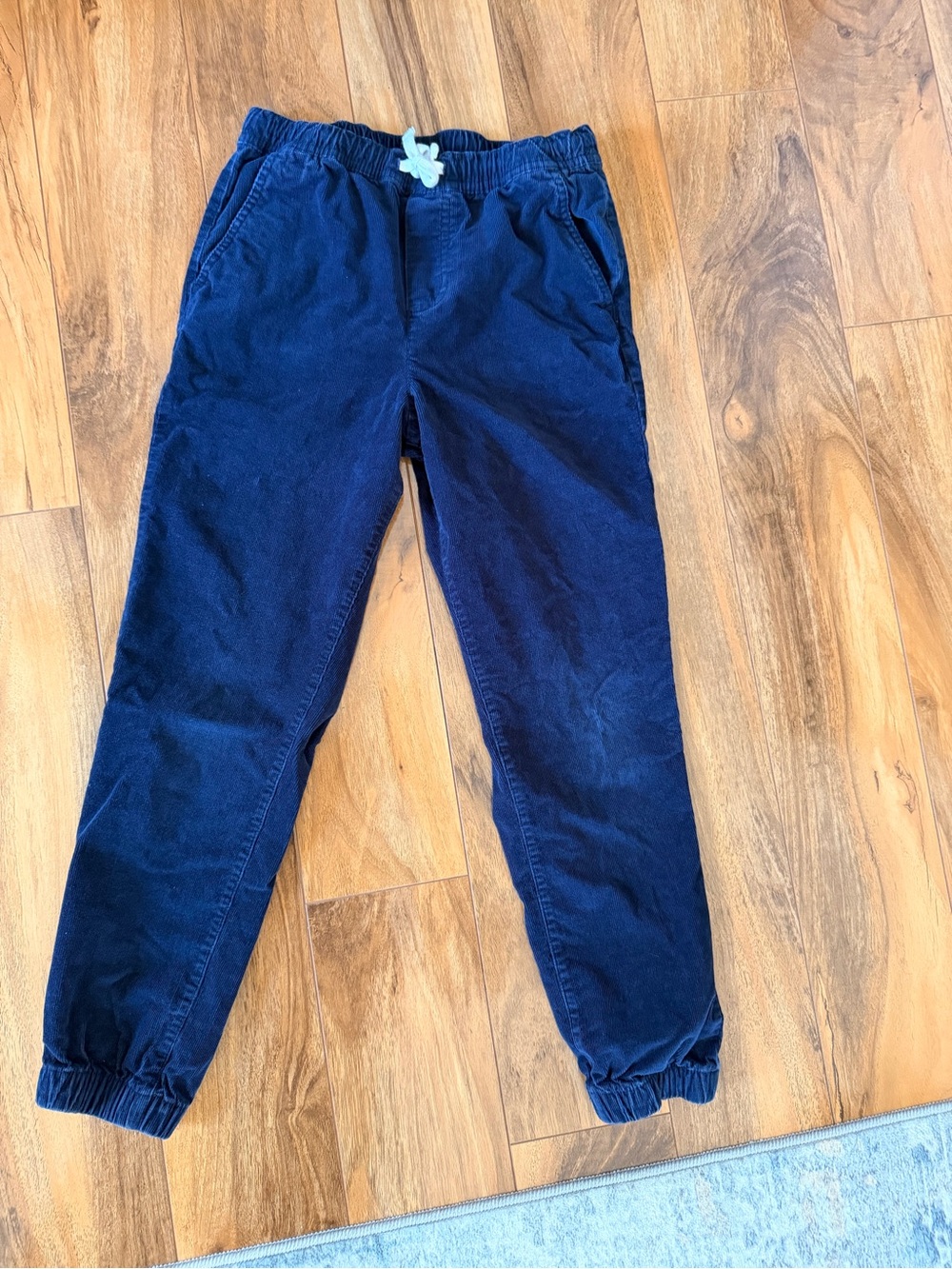 Janie and Jack Navy Corduroy Jogger Pants AND terry quilted sweats